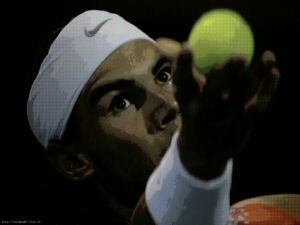 rafaimage2.jpg